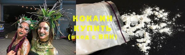 эйфоретик Няндома