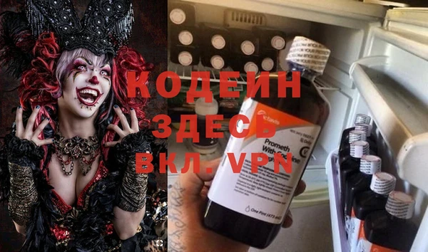 дмт Нягань