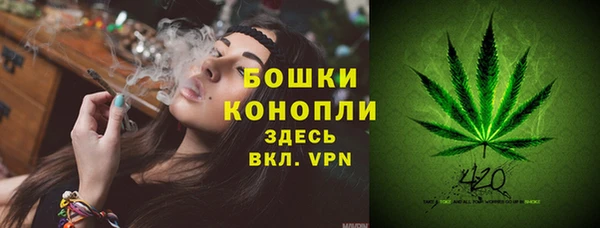 дмт Нягань