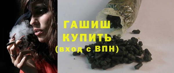 эйфоретик Няндома