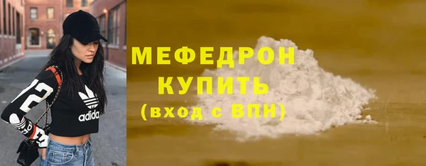 эйфоретик Няндома
