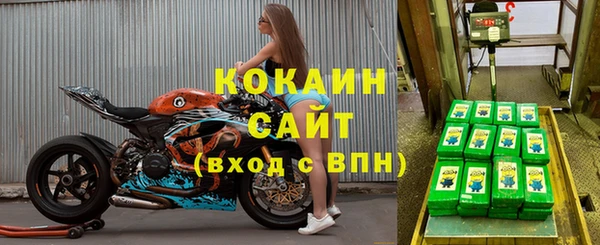 эйфоретик Няндома
