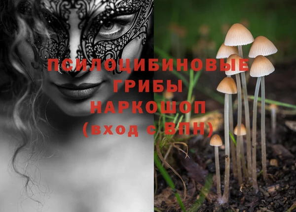 бошки Нязепетровск